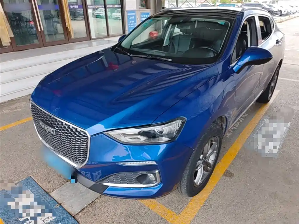 Haval F5 2019 National Trend Edition 1.5T iStyle China VI