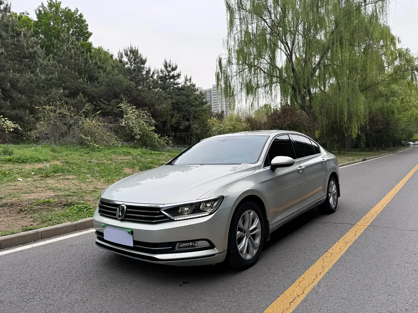 Volkswagen Magotan 2017 330TSI DSG Luxury
