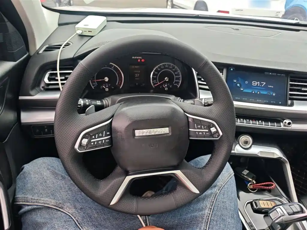 Haval H6 2017 Blue Label 2.0T Automatic 2WD Smart Edition фото 11