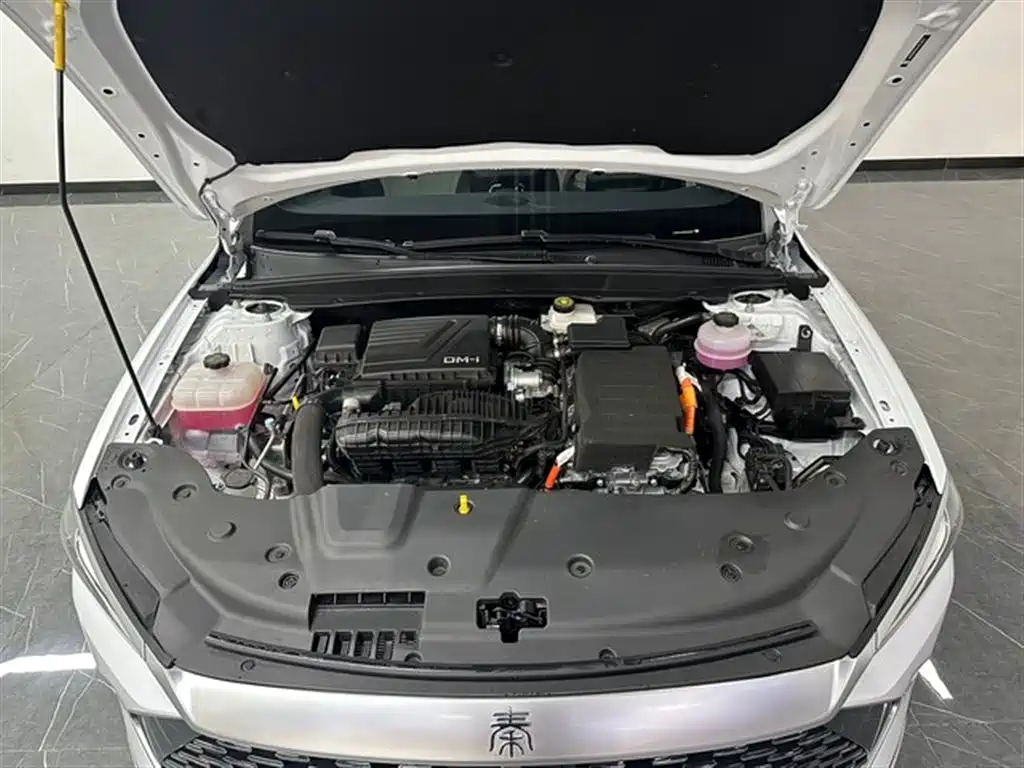 BYD Qin PLUS 2024 Glory Edition DM-i 55KM Leading фото 9