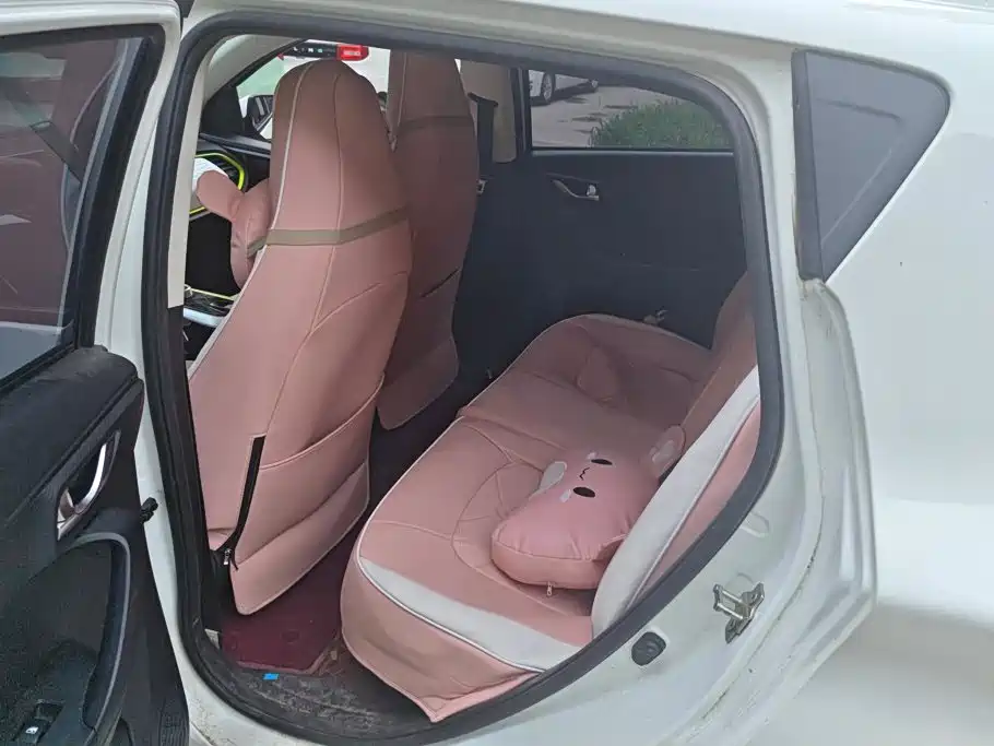 Changan Benben E-Star 2021 2022 Appreciation Edition Colorful LFP