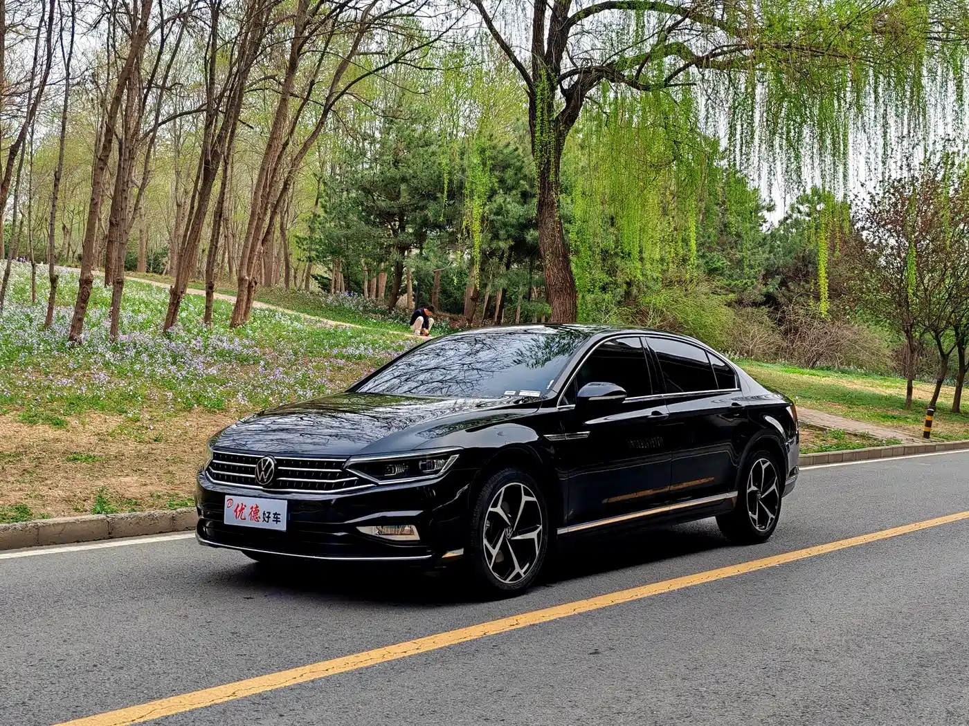 Volkswagen Magotan 2025 Facelift Public Edition 330TSI DSG Luxury
