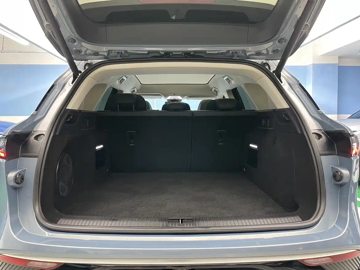 Voyah Auto VOYAH FREE 2021 AWD Standard Range Extender Exclusive Luxury Package фото 23