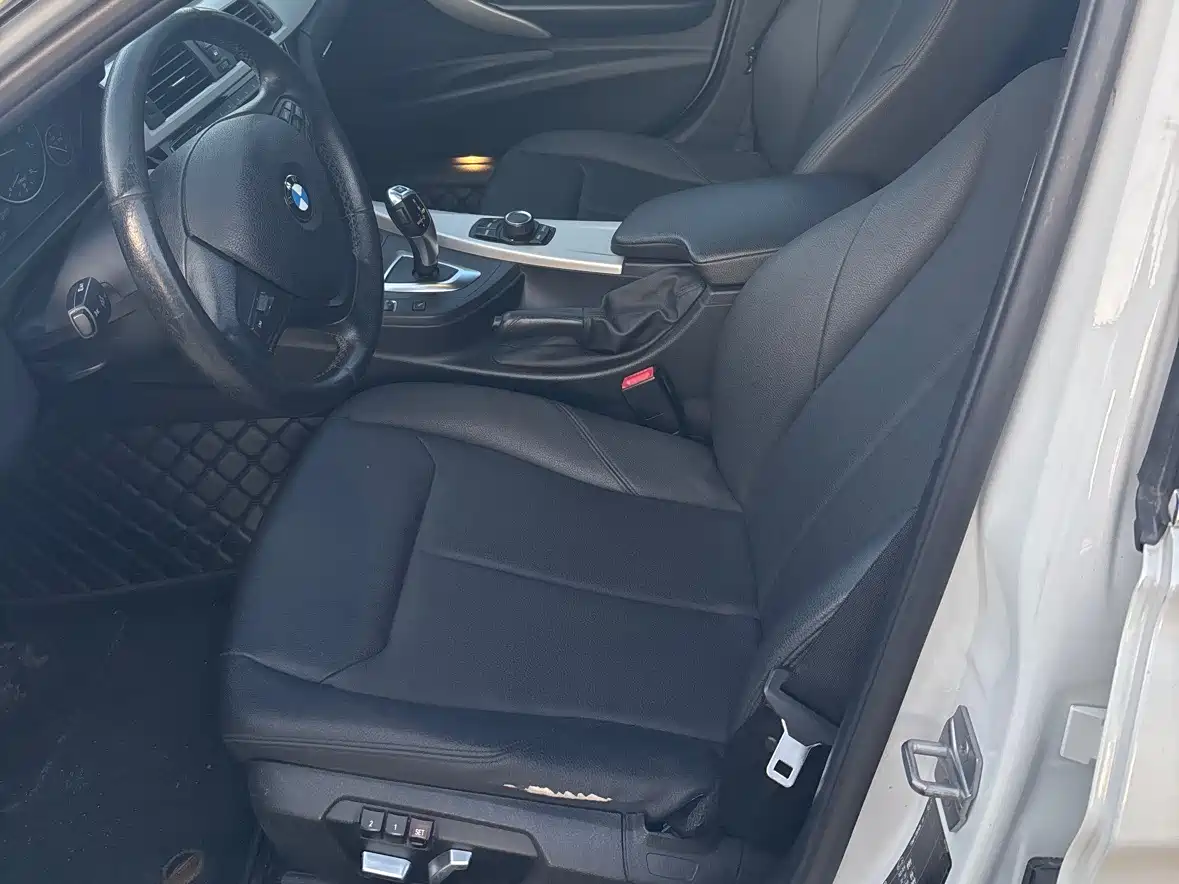 BMW 3 Series 2016 320Li Progressive фото 9