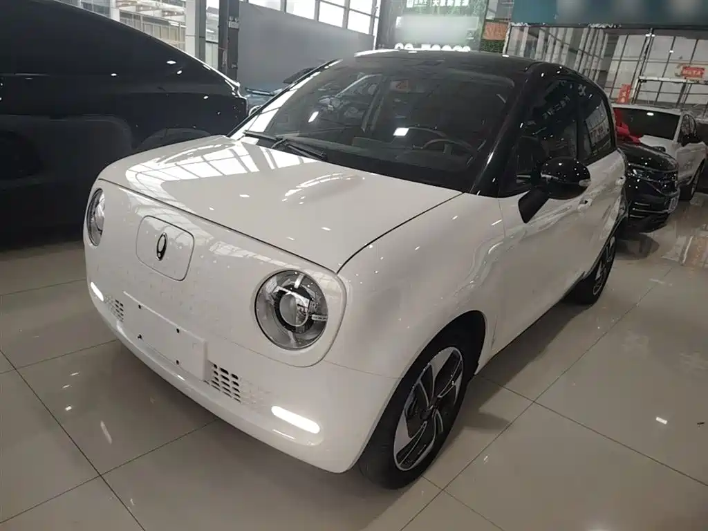 Ora Black Cat 2019 Model 351km Smart Intelligence Edition