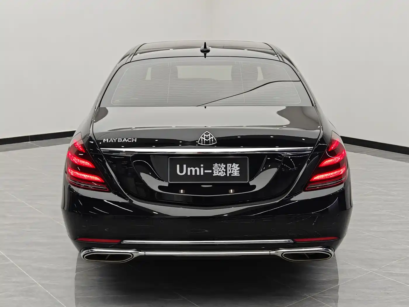 Mercedes-Benz Maybach S-Class 2020 S 450 4MATIC Collector's Edition фото 5
