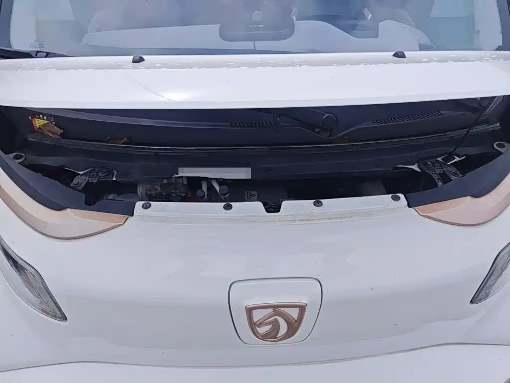 Baojun E200 2020 2020 305KM Smart Edition