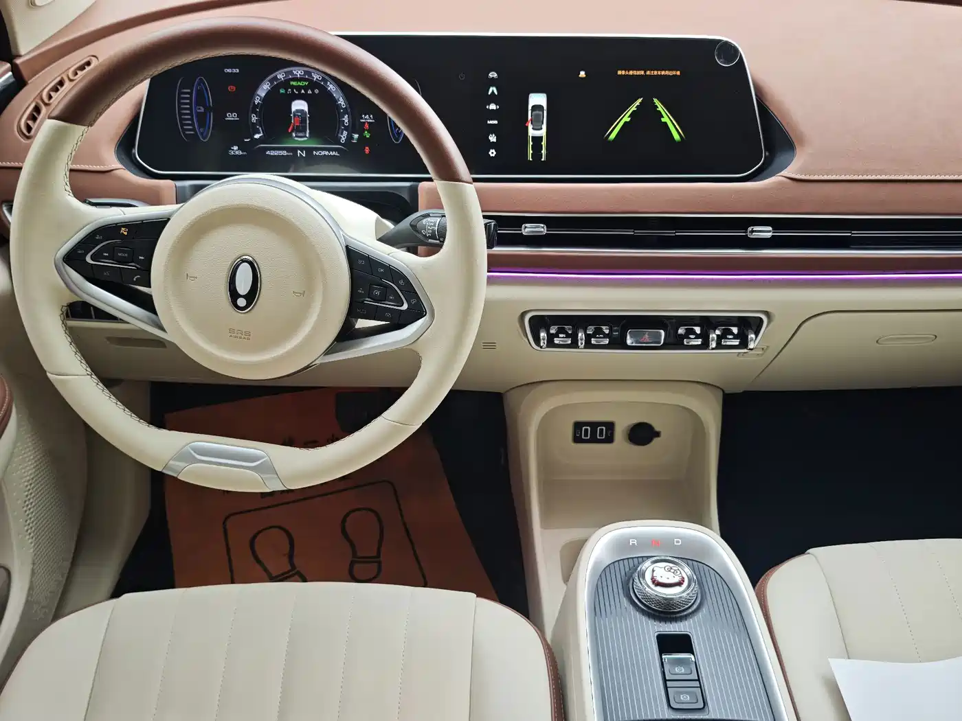 Ora Good Cat 2022 2022 400km Standard Range Luxury LFP