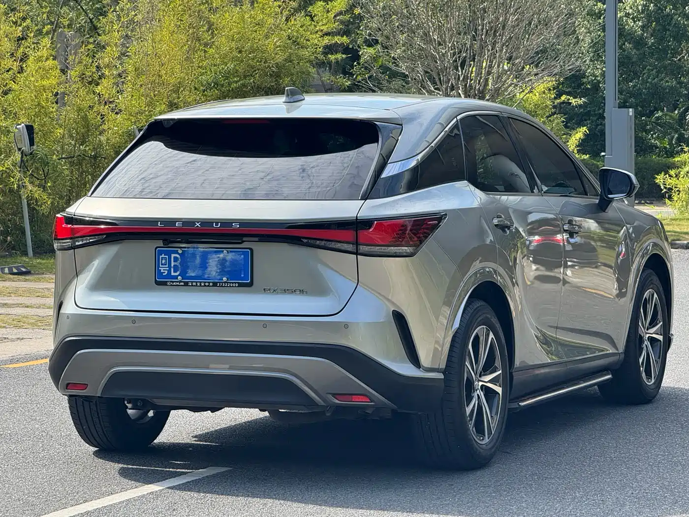 LEXUS RX