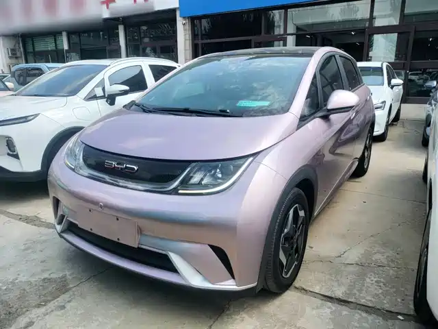 BYD Dolphin 2022