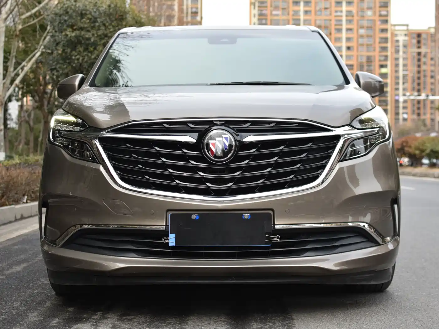 Buick GL8 2021 ES Landlord 653T Premium фото 2