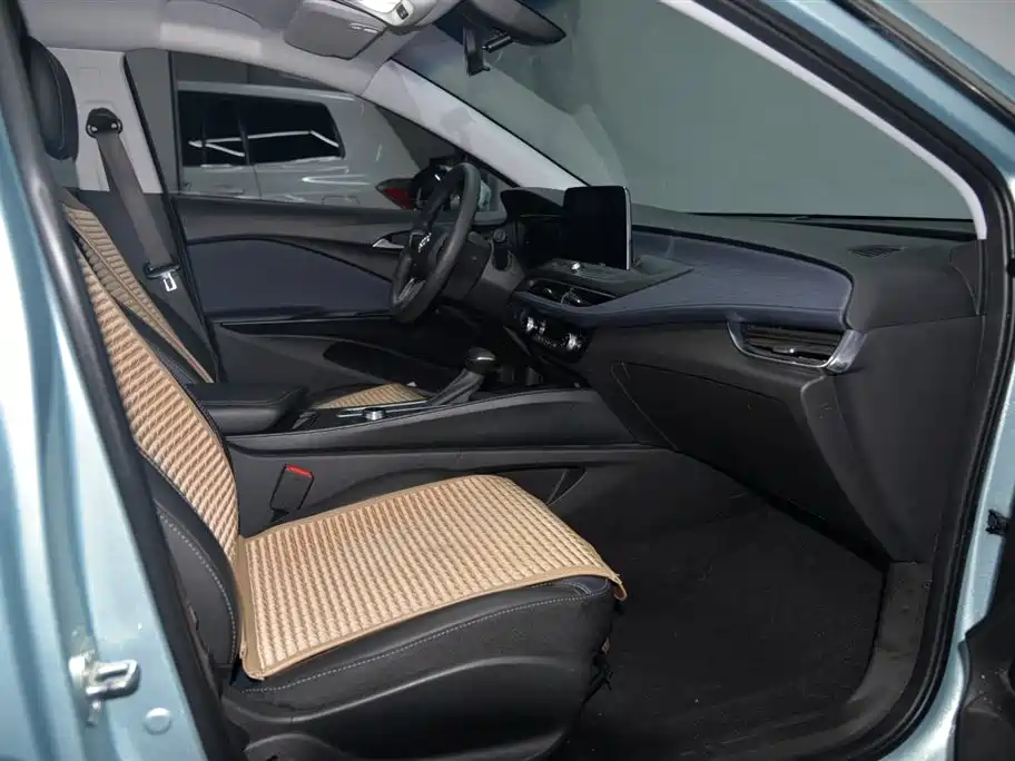 BUICK SLIGHTLY BLUE 6