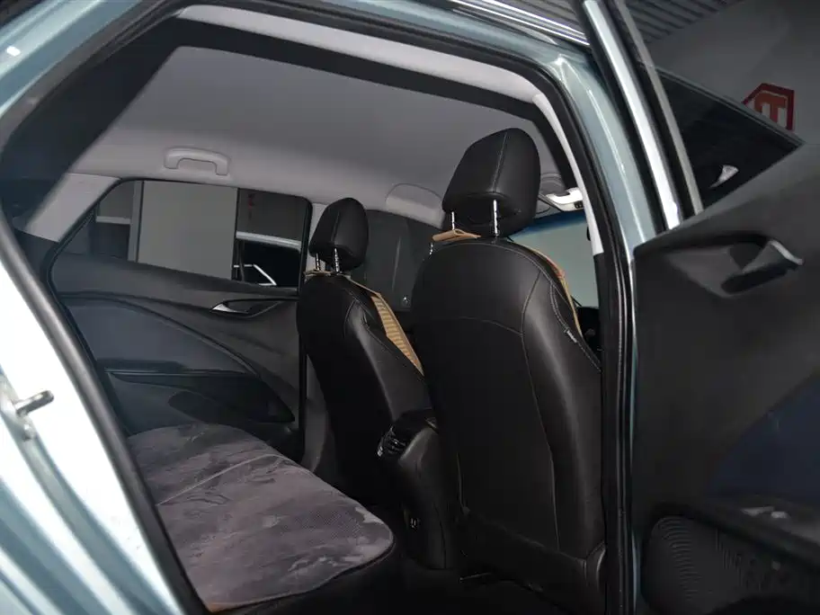 BUICK SLIGHTLY BLUE 6