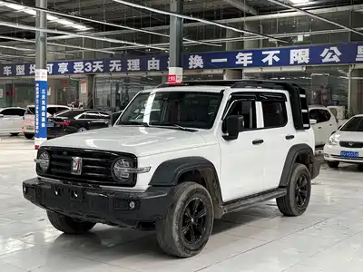 Tank 300
