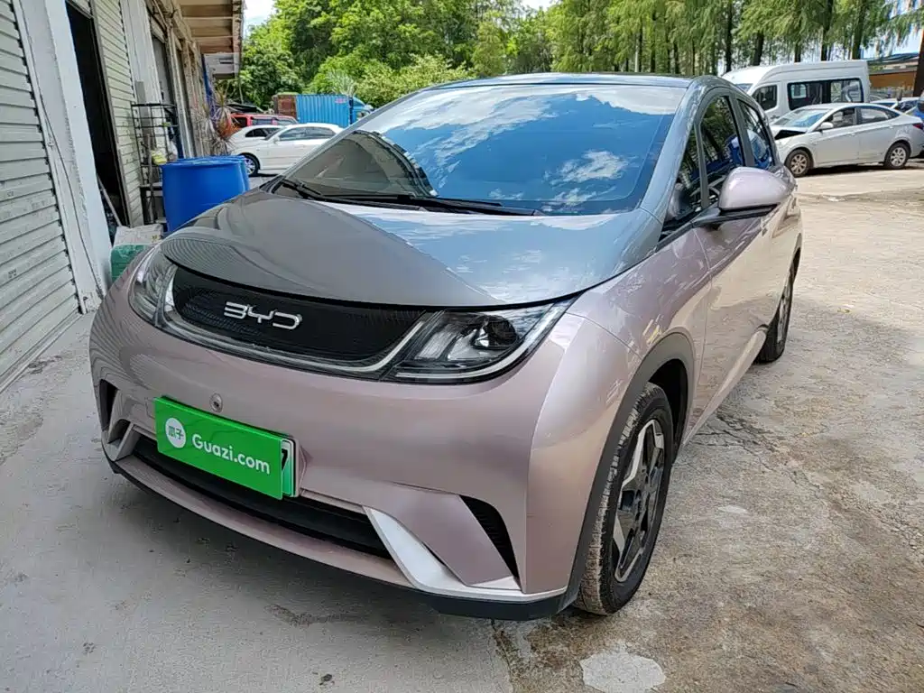 BYD Dolphin 2021