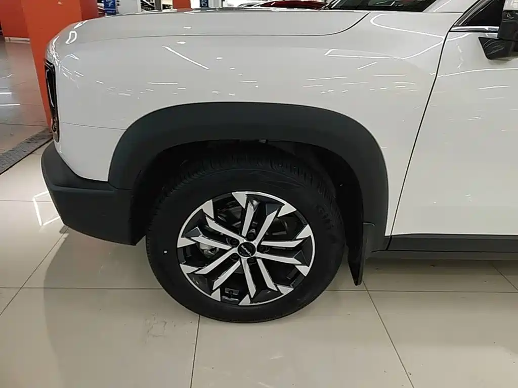 Фото 23 - Haval Big Dog