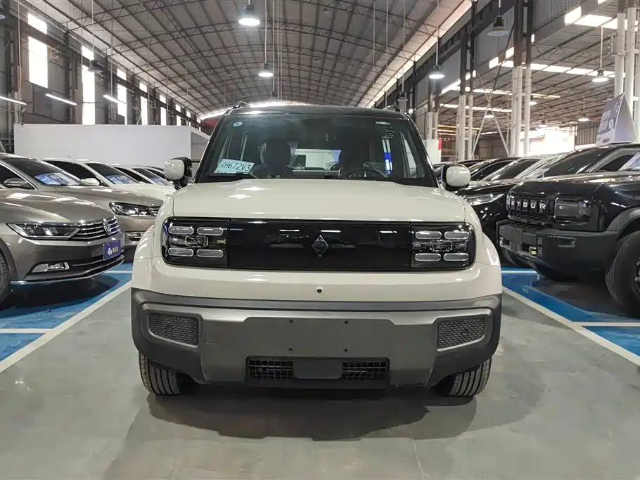 BAOJUN YUE ALSO PLUS