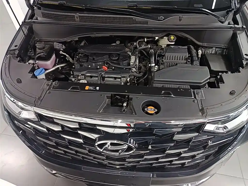 Hyundai Kustu 2024 270TGDi LUX Premium Edition фото 20