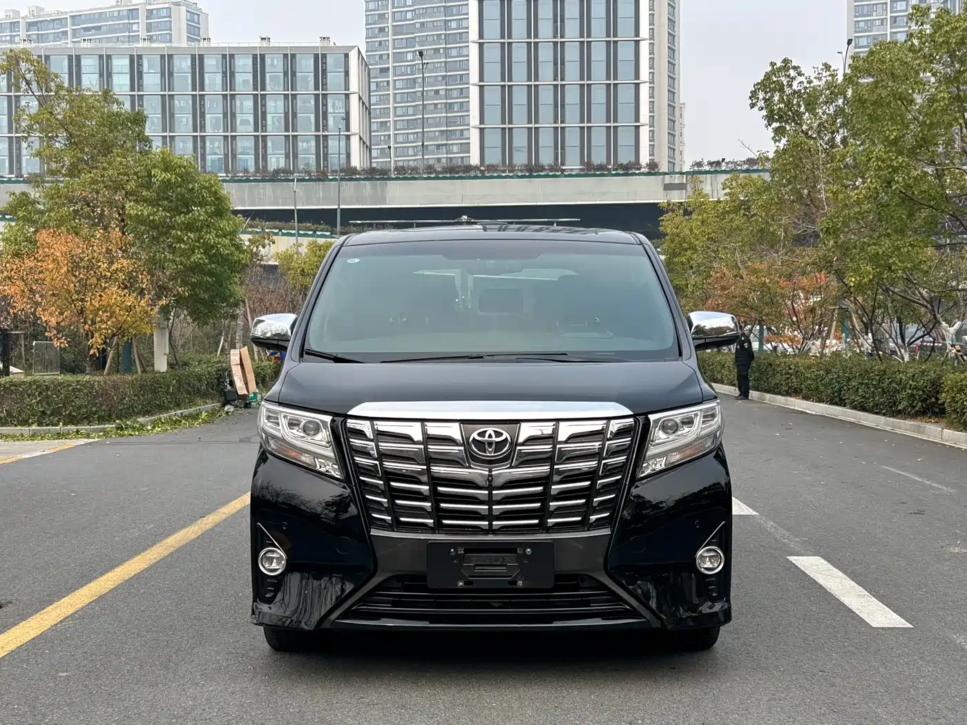 Toyota Alphard 2018 3.5L Premium фото 2