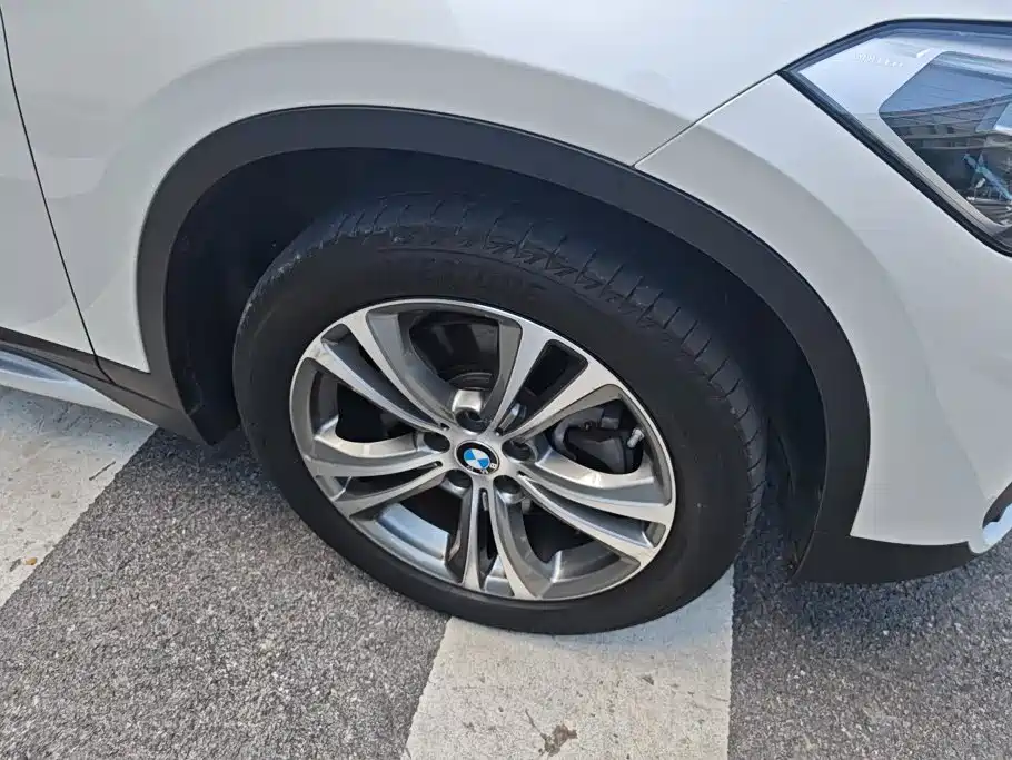 BMW X1 New Energy 2021 2021 xDrive30Le Exclusive