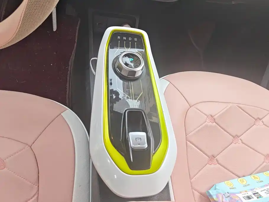 Changan Benben E-Star 2021 2022 Appreciation Edition Colorful LFP