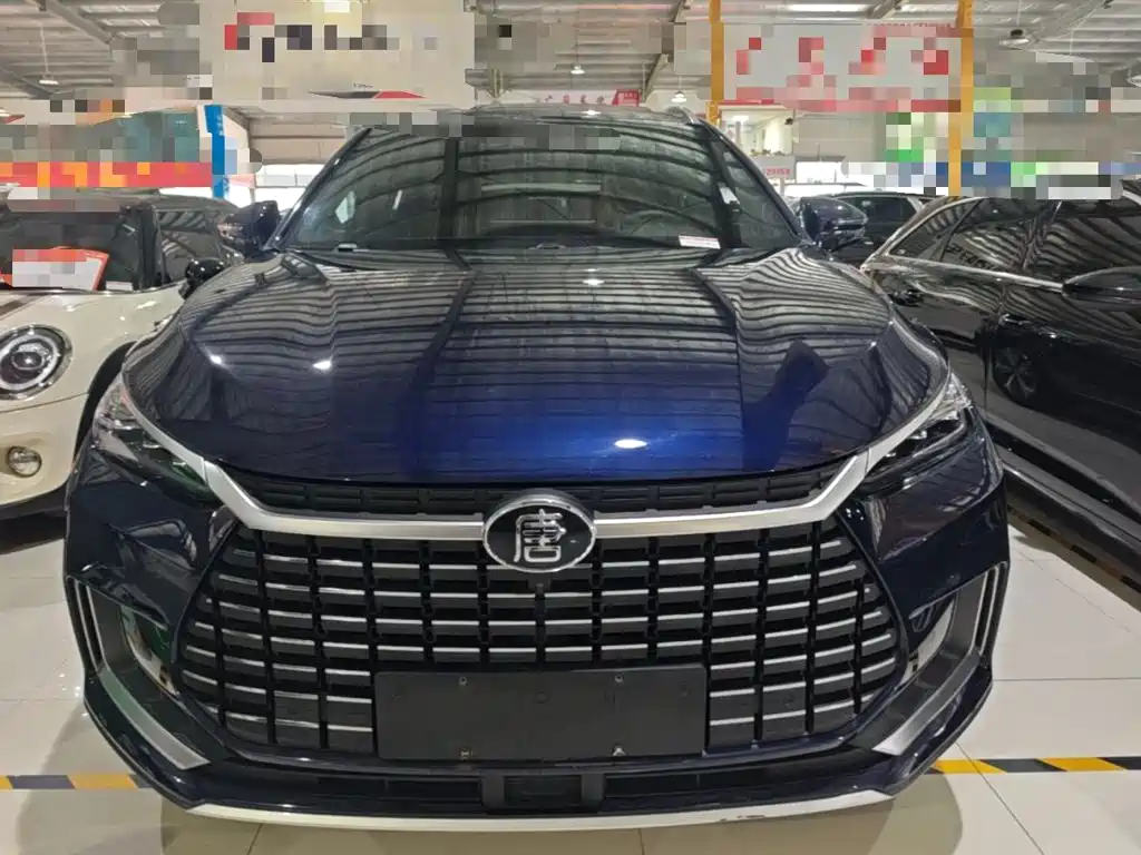 Фото 3 - BYD Tang New Energy