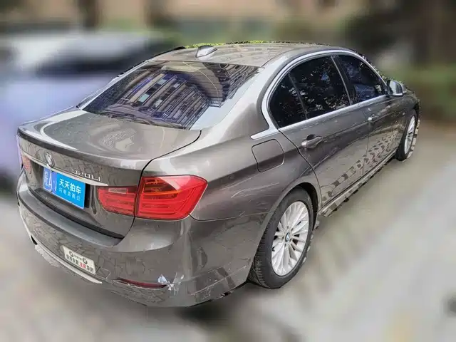 BMW 3 Series 2013 320Li Luxury Design Package — фото 2