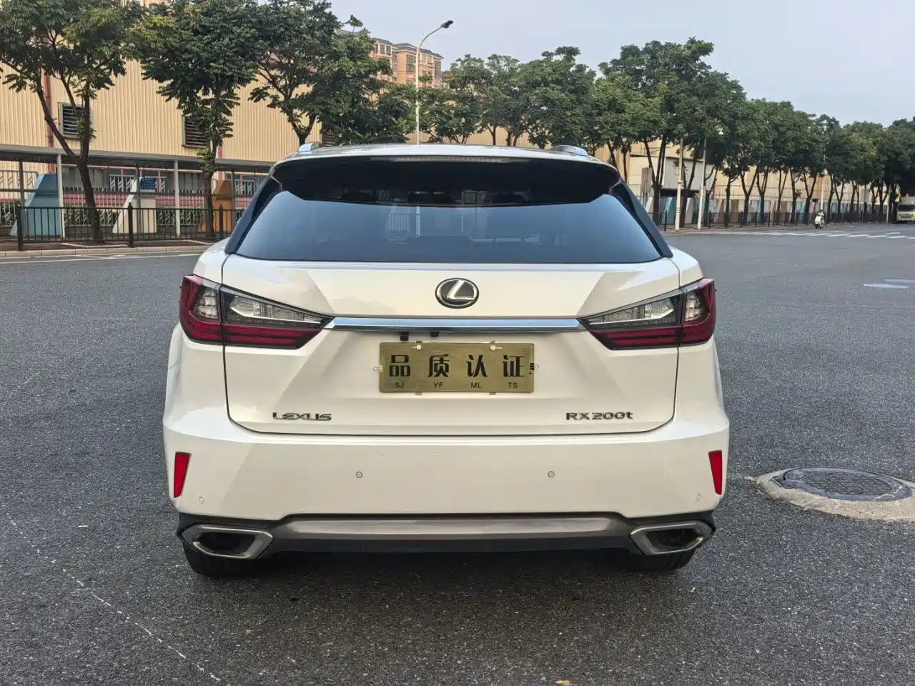Lexus RX 2017 2016 300 4WD Elegance Edition (China V)