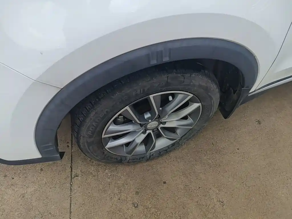 Фото 23 - Roewe RX5