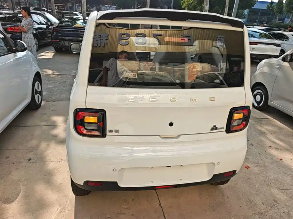 Geely Galaxy Panda 2026 2025 Panda mini 210km Vitality Bear