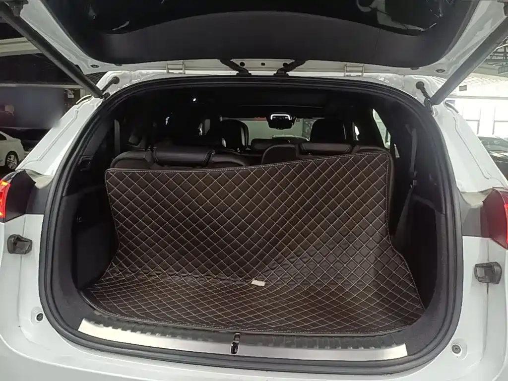 Denza X 2021 2020 Model PHEV Flagship Edition