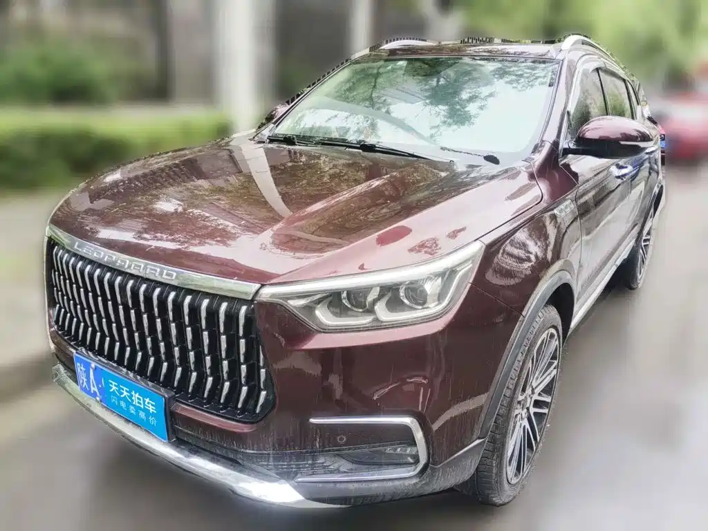 2018 Leopaard Mattu