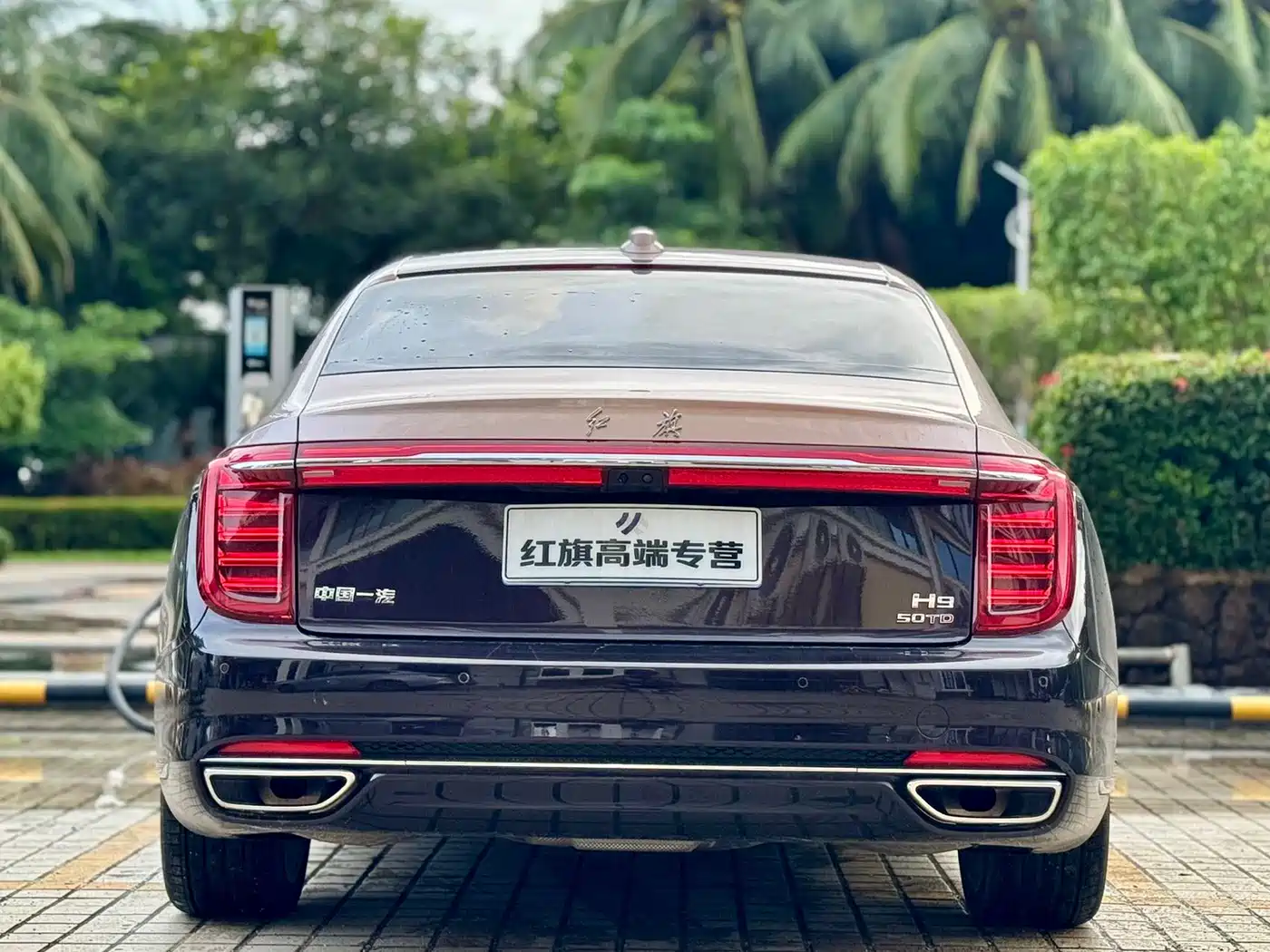 Hongqi H9 2021 2020 3.0T Smart Connect Flagship 4-Seater