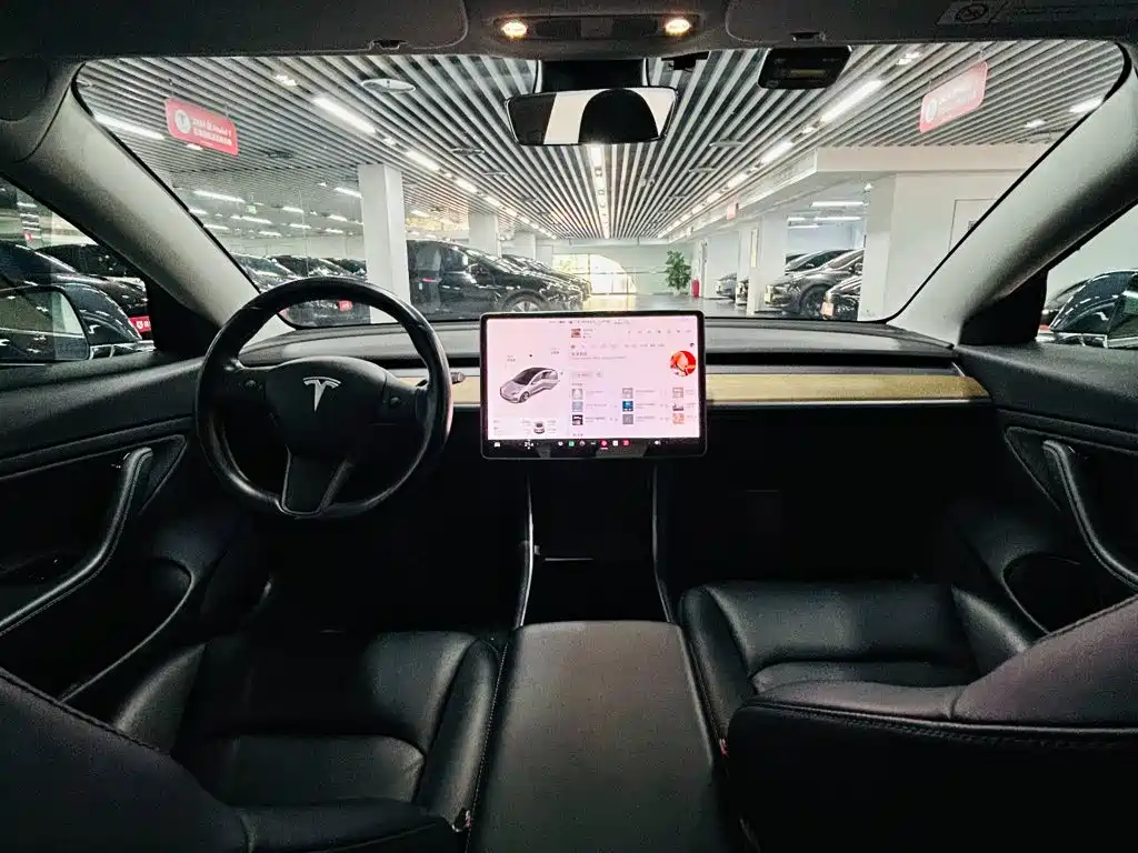 Tesla Model 3 (Import) 2019 2019 Long Range RWD Version