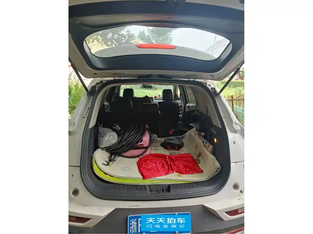 Dongfeng Fengguang Fengguang 580 2021 2021 Facelift ☆Star Edition 1.5T Manual Luxury