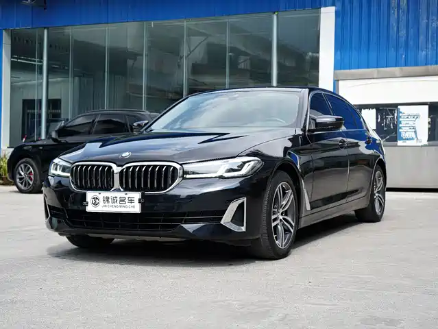 BMW 5 530Li, Лидер, Люкс-пакет