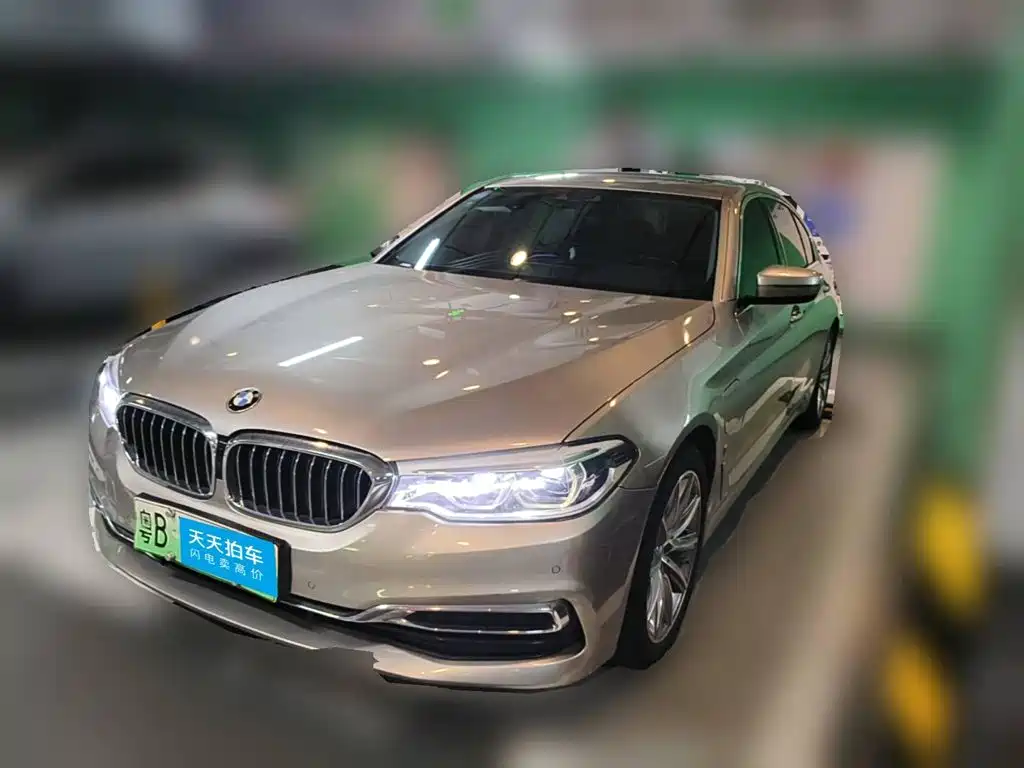 BMW BMW 5 Series New Energy 2019 Facelift 530Le Luxury Package