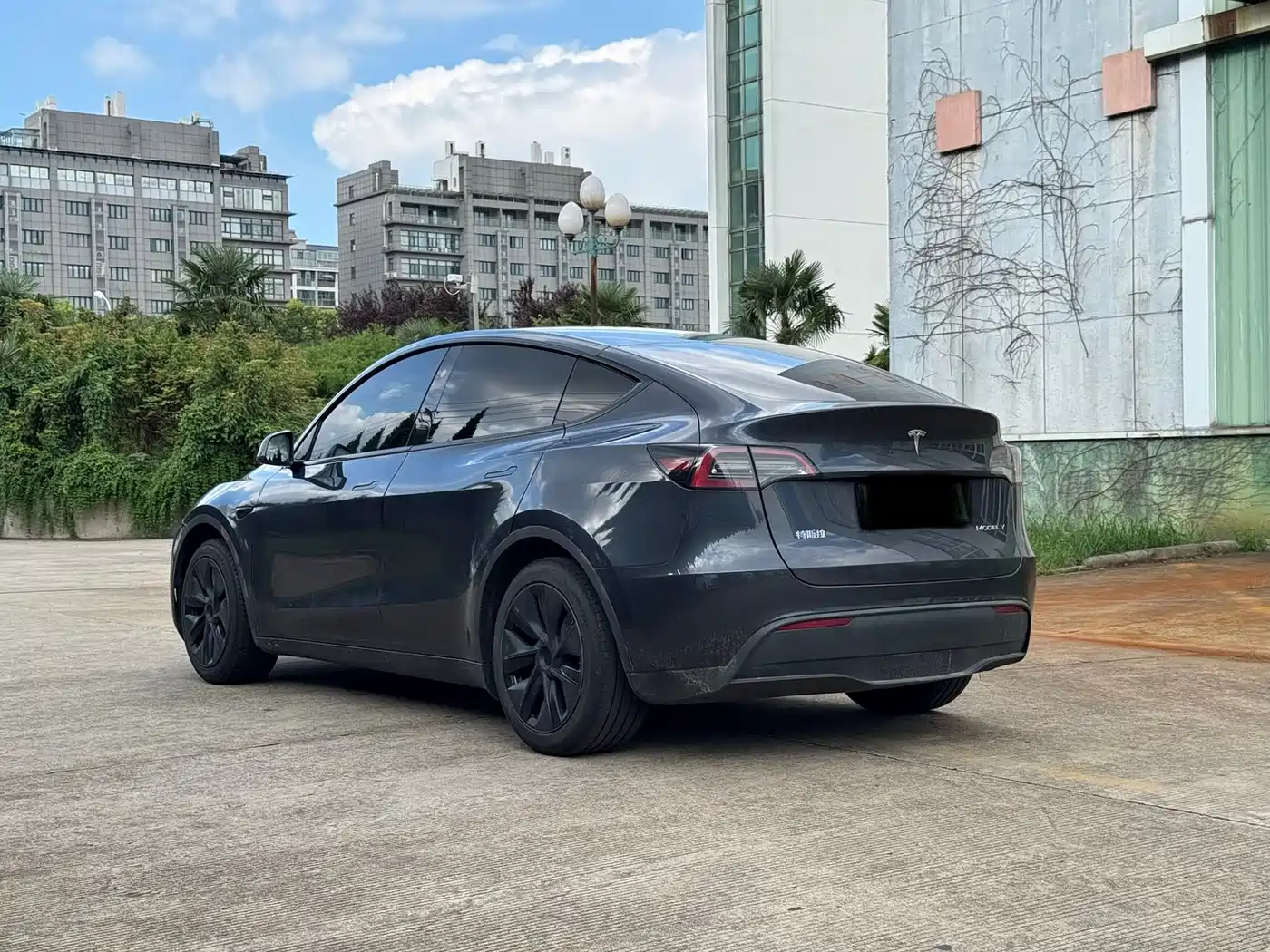 Фото 6 - Tesla Model Y