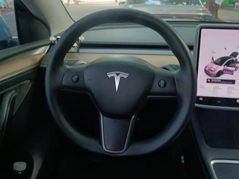 Tesla Model Y 2021 2021 Standard Range Rear-Wheel Drive