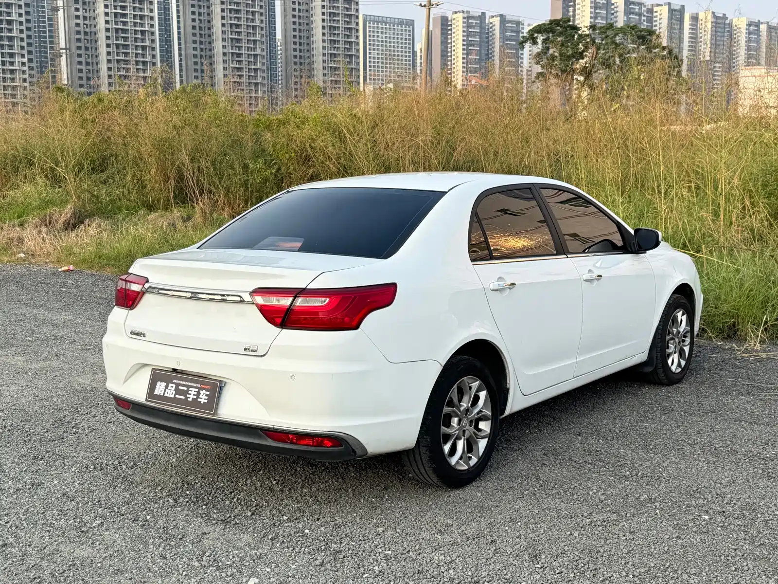 Фото 6 - Geely Vision