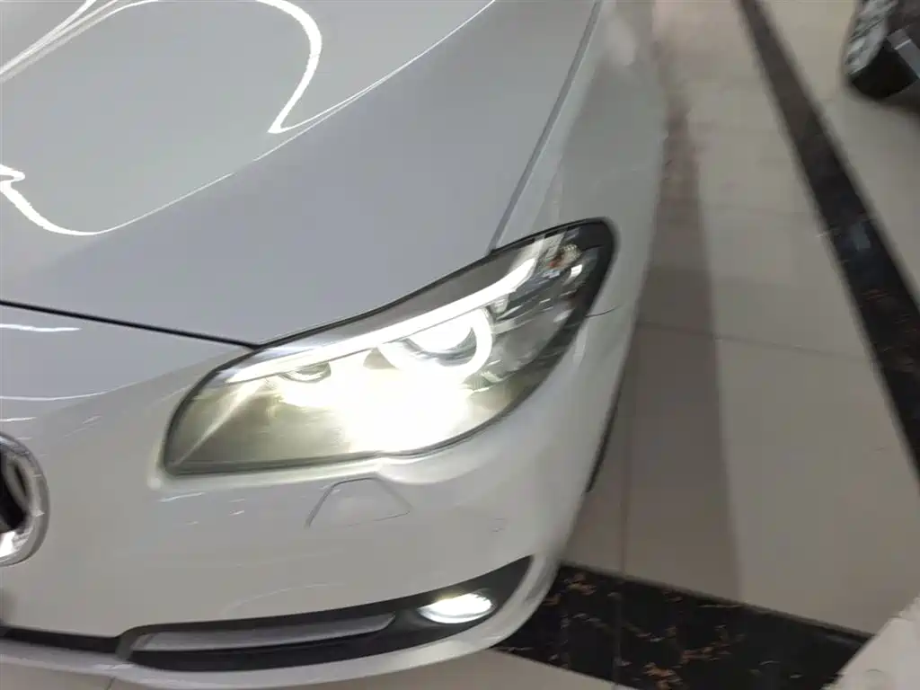 BMW 5 Series (Import) 2015 520i Elegance фото 23