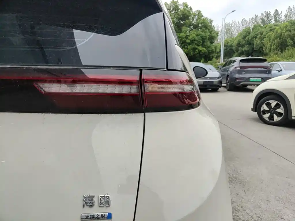 BYD Seagull 2026 2025 305km Vitality