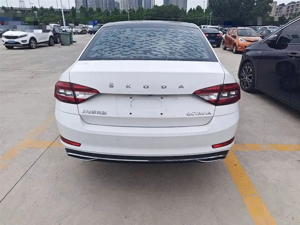 Škoda Octavia 2019 1.5L Automatic Smart Luxury China VI фото 6