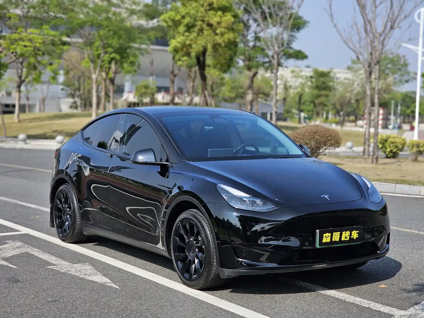 TESLA MODEL Y