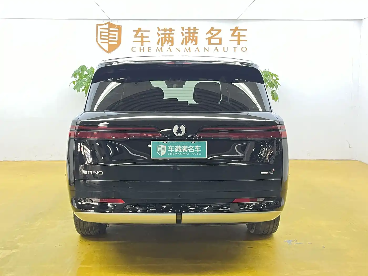 Denza N9 2025 2025 Model Prestige Edition