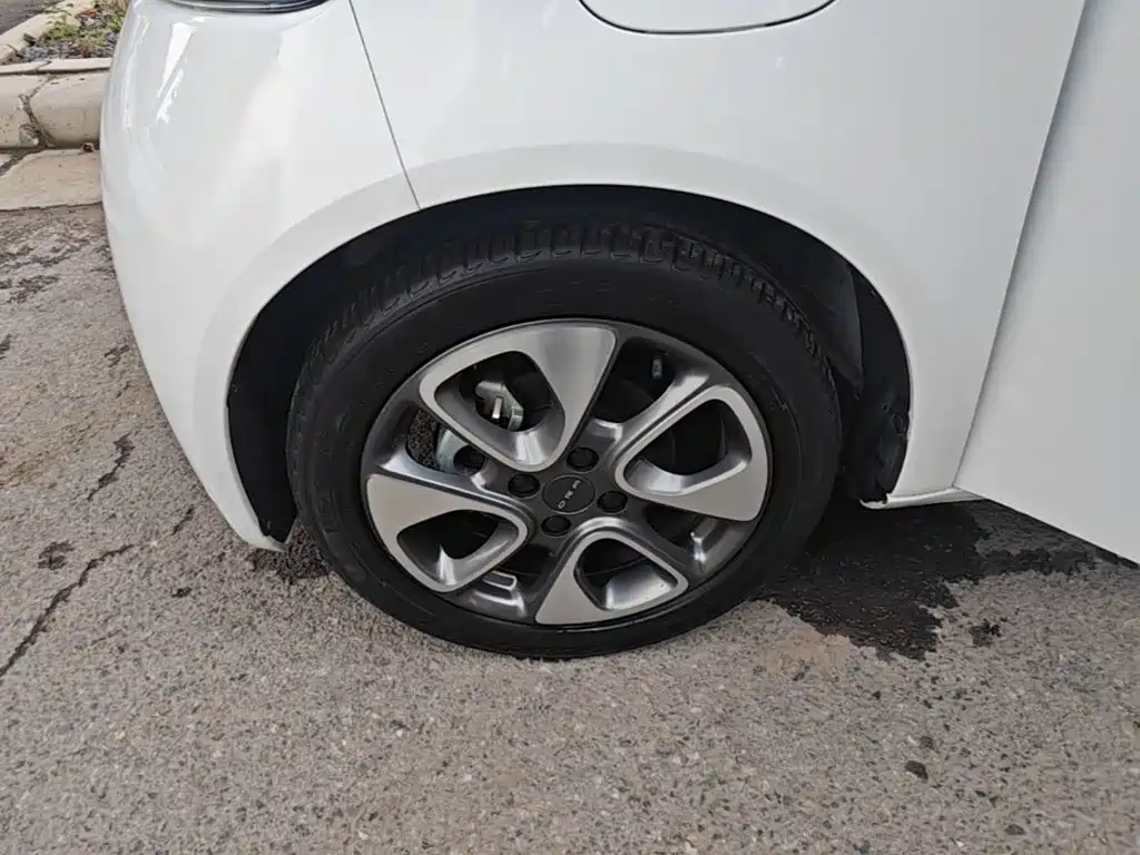Ora White Cat 2021 2020 305km Luxury