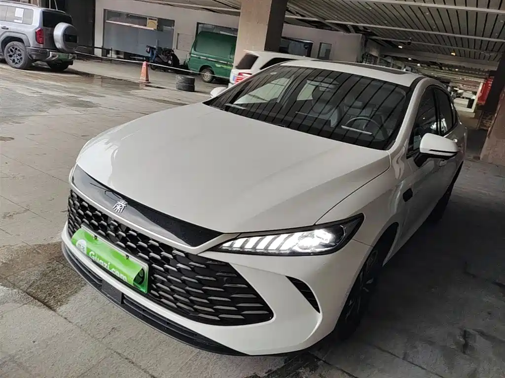 BYD Qin PLUS 2025 DM-i Smart Drive Edition 120KM Surpassing Type