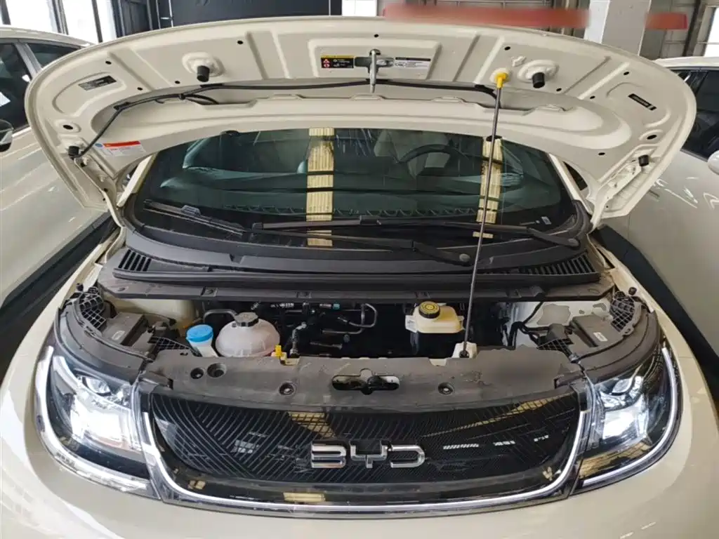 BYD Dolphin 2026 2025 420km Freedom Edition