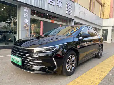 BYD Destroyer 05