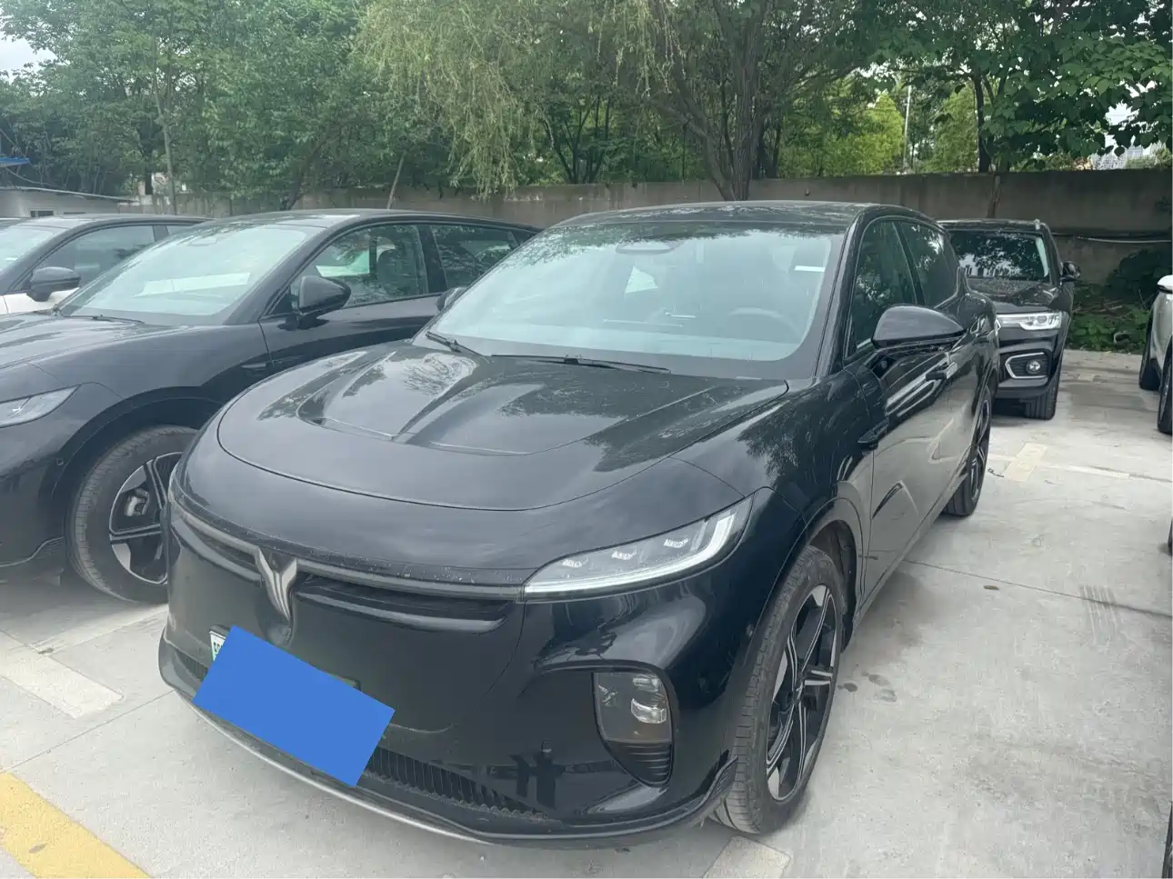 Voyah Auto Voyah Zhiyin 2024 Long Range Super Charging Edition